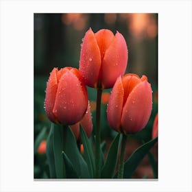 Tulips At Sunset Canvas Print