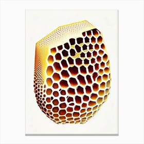 Close Up Of Honeycomb  2 Vintage Canvas Print