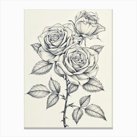 Roses Sketch 30 Canvas Print