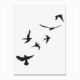 Sky Of Birds Canvas Print