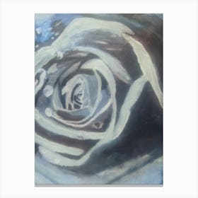 'Water Rose' Canvas Print