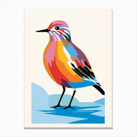 Colourful Geometric Bird Dunlin 2 Canvas Print