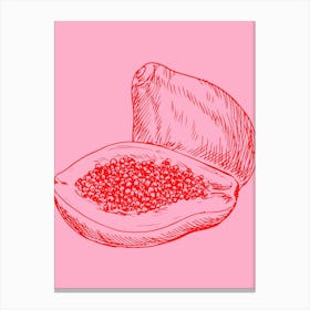 Red Papaya On Pink Background Canvas Print