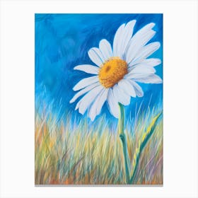 Daisy In The Meadow Canvas Print