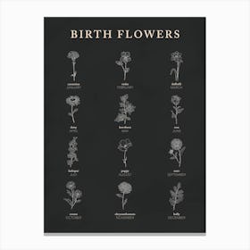 Birth Flowers Chart Navy Background Canvas Print