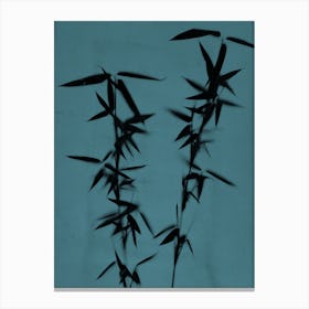 Teal black bamboo Canvas Print