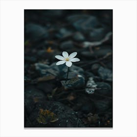 White Flower 28 Canvas Print