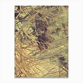 Bird In A Tree Canvas Print