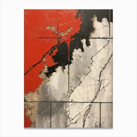 Red And Black Canvas Print