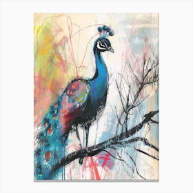 Peacock On A Branch Sketch Canvas Print