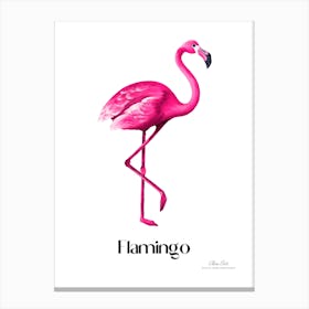 Flamingo. Long, thin legs. Pink or bright red color. Black feathers on the tips of its wings.3 Canvas Print
