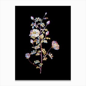 Stained Glass Pink Scotch Briar Rose Mosaic Botanical Illustration on Black n.0123 Canvas Print