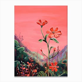 Boho Wildflower Painting Fire Pink Silene Virginica 2 Canvas Print