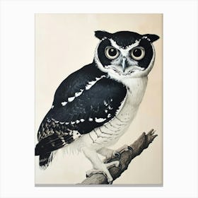 Spectacled Owl Vintage Illustration 3 Canvas Print