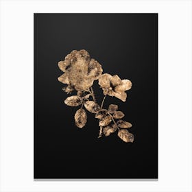 Gold Botanical Sweetbriar Rose on Wrought Iron Black n.4716 Canvas Print