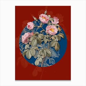 Vintage Botanical Tomentose Rose on Circle Blue on Red n.0185 Canvas Print