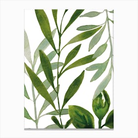 Green Leaves Art Print Canvas Print