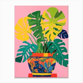 Monstera plant in a colorful pot Canvas Print