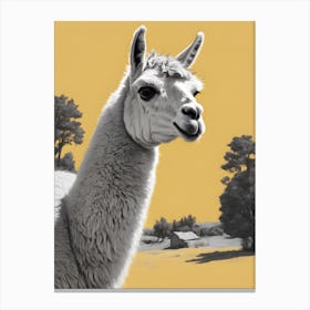 Llama Canvas Print 1 Canvas Print