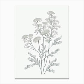 Feverfew Herb William Morris Inspired Line Drawing 1 Canvas Print