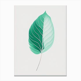 Mint Leaf Abstract 2 Canvas Print