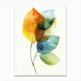 Autumn Leaves Canvas Print 7 Canvas Print