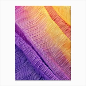 Rainbow Chiffon Canvas Print