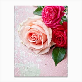 A Closeup Of A Rose The Archetype Of Romance And Beauty Rendered In Vibrant Hues Such As Tender Pi (5) Canvas Print