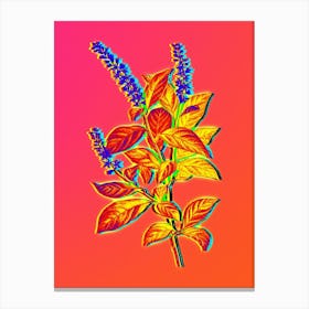 Neon Virginia Sweetspire Botanical in Hot Pink and Electric Blue n.0233 Canvas Print