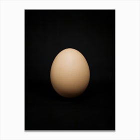 Kitchen Art: The "Egg" On A Black Background! Canvas Print