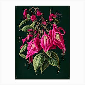 Fuchsia 1 Floral Botanical Vintage Poster Flower Canvas Print