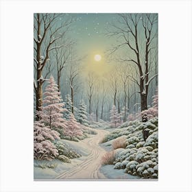 Snowy Path Canvas Print