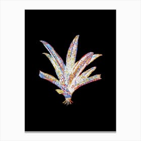 Stained Glass Boat Lily Mosaic Botanical Illustration on Black Canvas Print