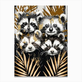 Raccoons Canvas Print