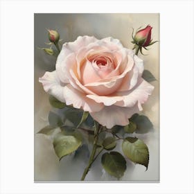 Englands Pink Rose Flower Canvas Print