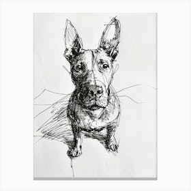 Miniature Bull Terrier Line Sketch 2 Canvas Print