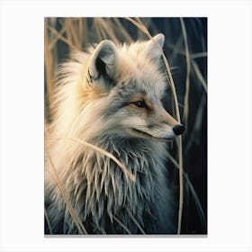 Bengal Fox Photorealistic 4 Canvas Print