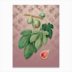 Vintage Fig Botanical on Dusty Pink Pattern n.1842 Canvas Print
