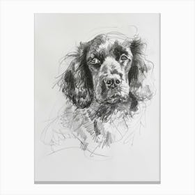 American Water Spaniel Dog Charcoal Line 4 Canvas Print