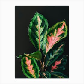 Green Plant On Black Background Canvas Print