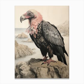 Vintage Bird Drawing California Condor 2 Canvas Print