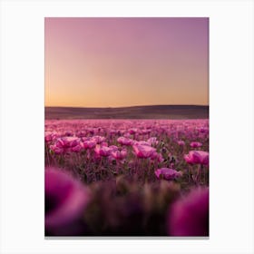 Poppy Field At Sunset Canvas Print