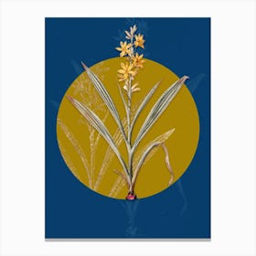 Vintage Botanical Wachendorfia Thyrsiflora on Circle Yellow on Blue Canvas Print