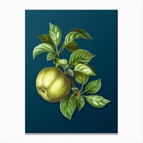 Vintage Apple Botanical Art on Teal Blue n.0161 Canvas Print