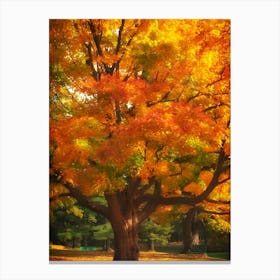 Autumn Tree In The Park Canvas Print