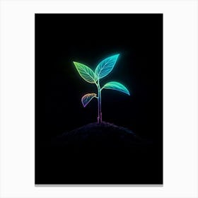 Neon Plant 27 Canvas Print