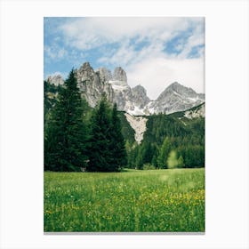 Austrian Alps Meadow Canvas Print