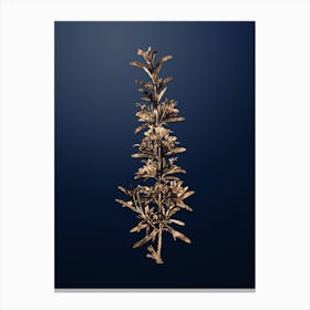 Gold Botanical Rosemary on Midnight Navy n.1114 Canvas Print