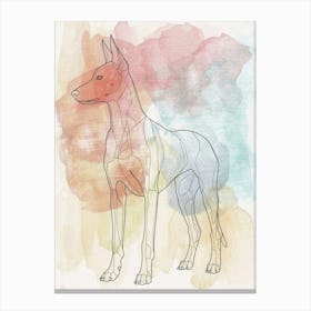 Pastel Watercolour Pharaoh Hound Dog Line Illustration 1 Canvas Print