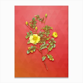 Vintage Yellow Sweetbriar Rose Botanical Art on Fiery Red n.0328 Canvas Print